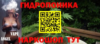 стафф Донецк