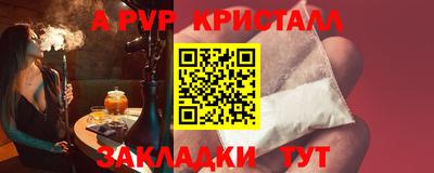 стафф Донецк