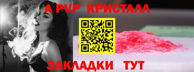 стафф Донецк