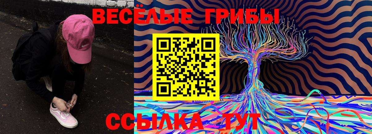 Галлюциногенные грибы мухоморы  Псилоцибиновые грибы Psilocybine cubensis  Маркс  Вход с VPN 